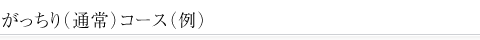 がっちり（通常）コース（例）